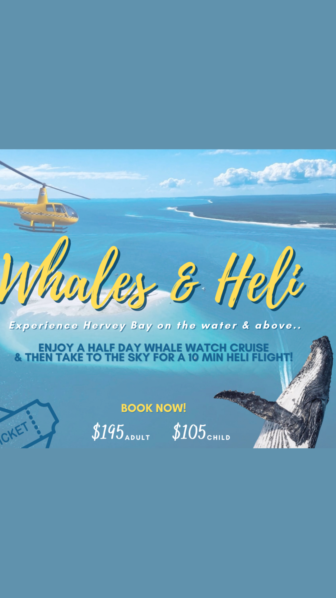 whale heli dark 2
