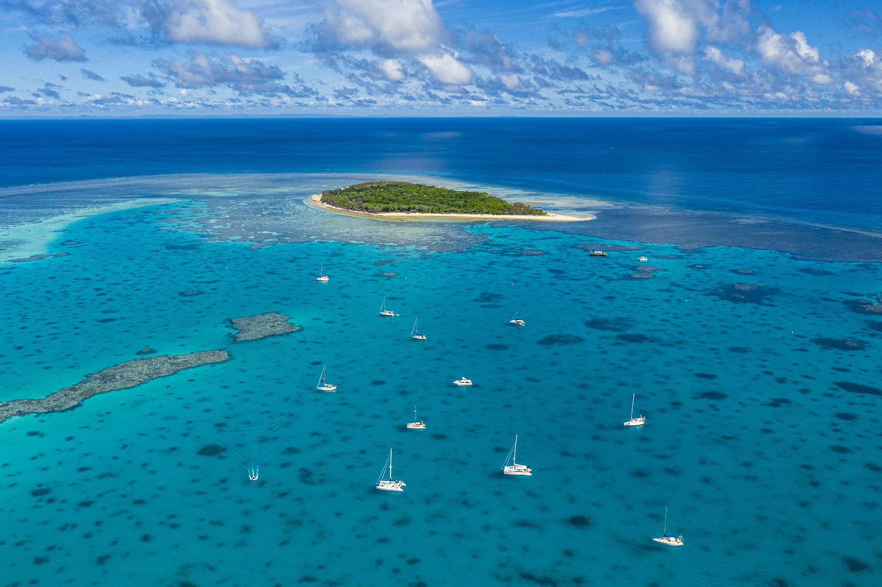 Lady Musgrave Island