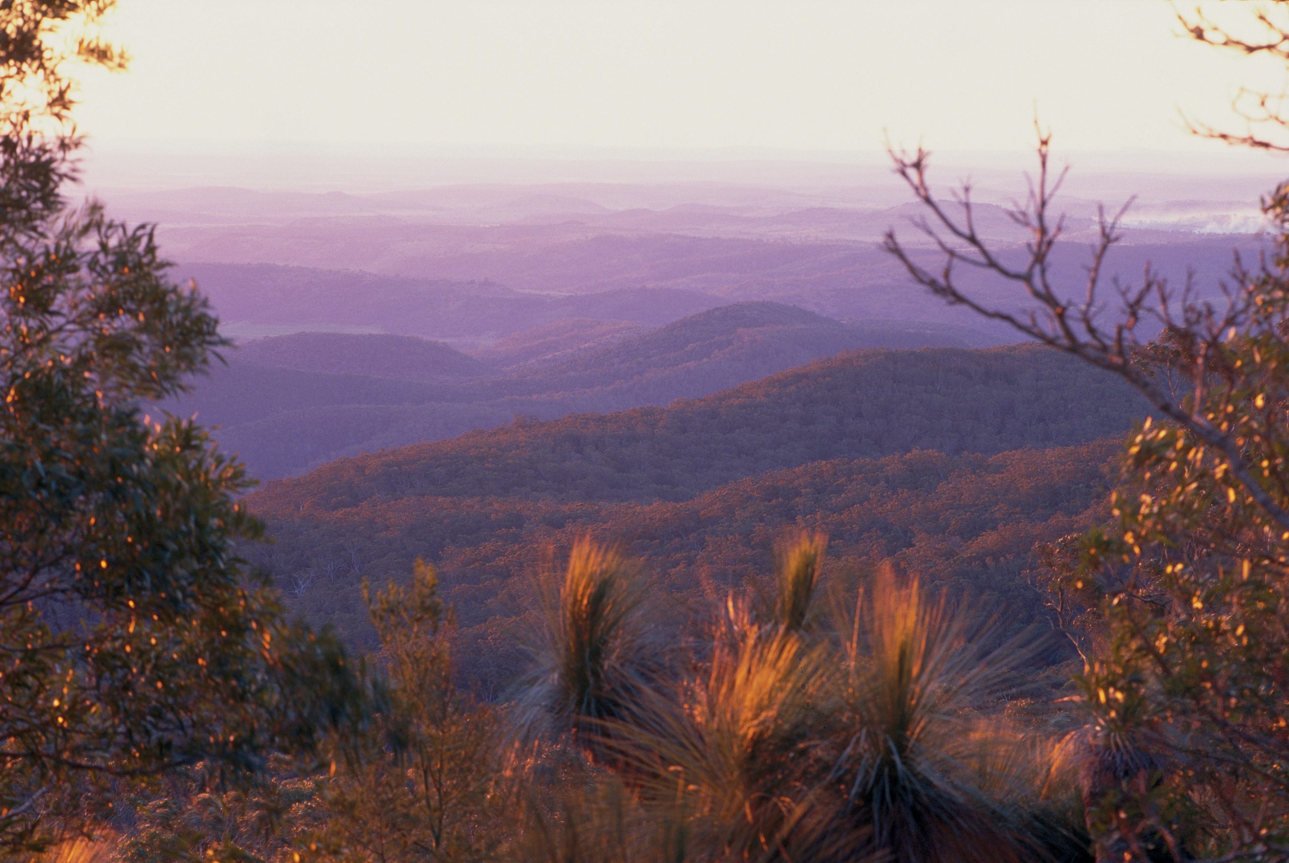 Sunset Over Bunya Mountains